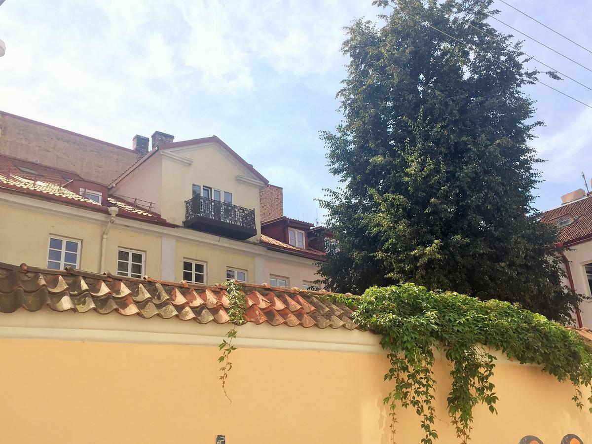 Grand Duke Apartment